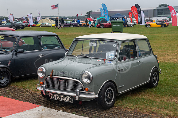 DYB810C Mini Cooper