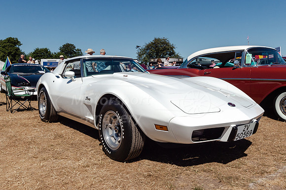Stingray