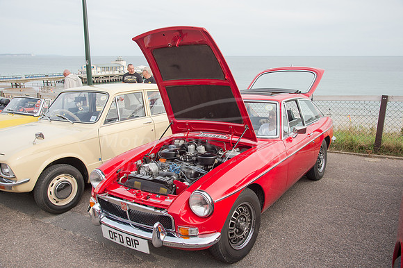 MG OFD81P