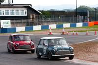 Pre 66 Minis
