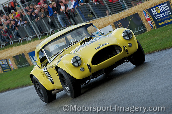 Bill Bridges, AC Cobra 289 Roadster
