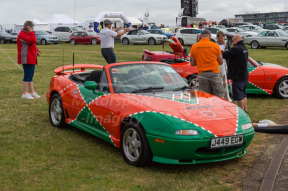 D4S_7392.jpg