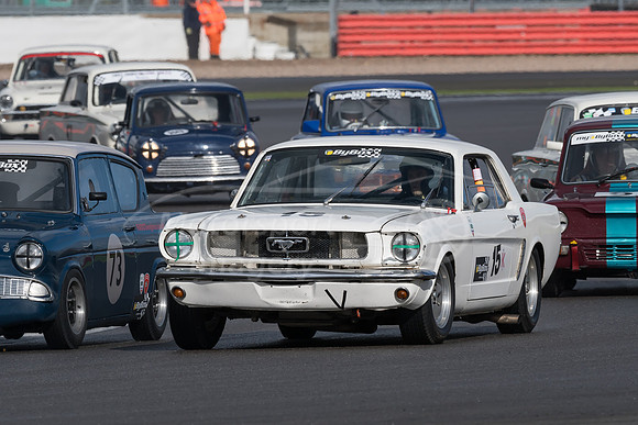D50_1337.jpg