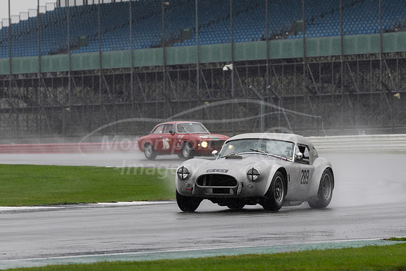 289 Matthew Moore - AC Cobra