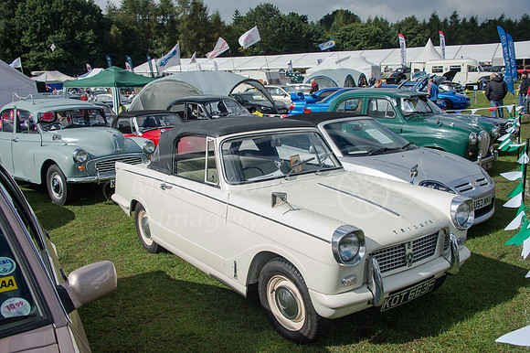 D4S_9113.jpg