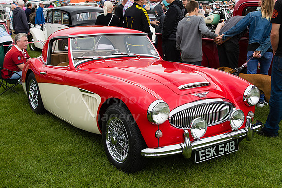 ESK 548