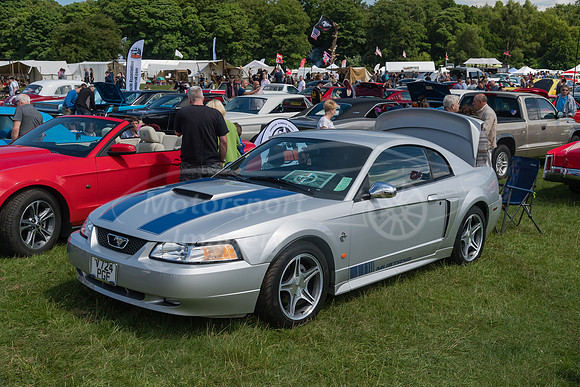 35th Anniversary Ford Mustang
