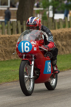 D4S_8138