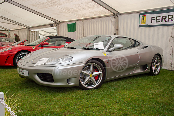 D4S_9269.jpg
