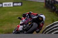 45 Scott REDDING