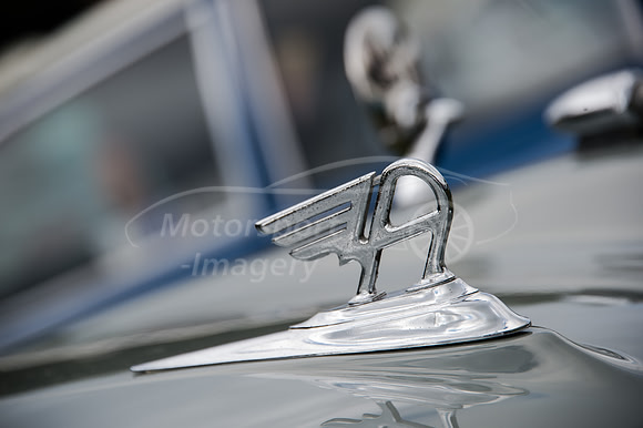 D4S_9137.jpg