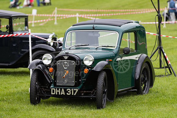 DHA 317