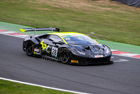 28 Paul Bailey / Ross Wylie