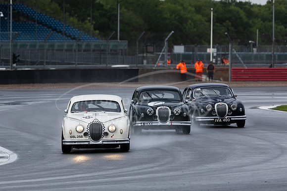 Three Cats on the prowl during the Ecurie Classic Race
