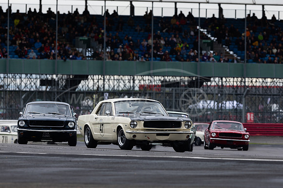 47 Fred Shepherd / Bill Shepherd
