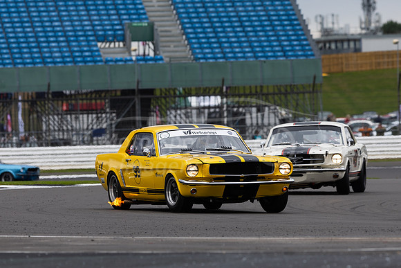 99 Alex Taylor / Andy Priaulx