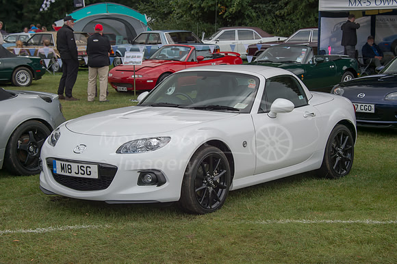 D4S_9181.jpg