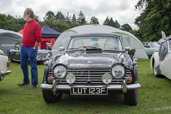 D4S_9133.jpg