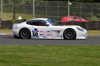 Ginetta G50 No 50