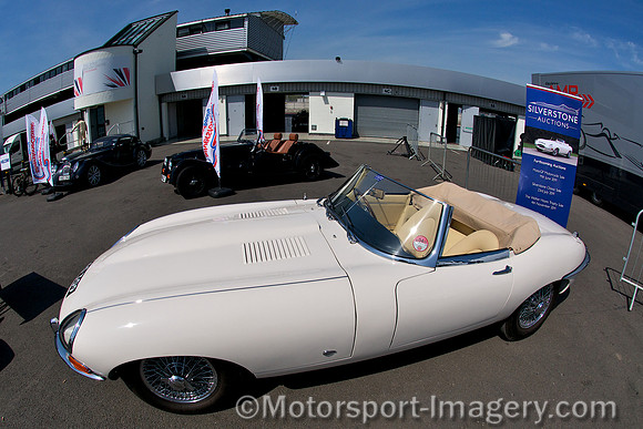 Jaguar E-Type, GAS 309