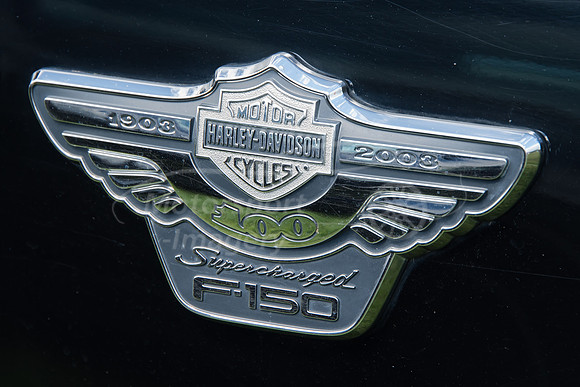 DGG_1001.jpg