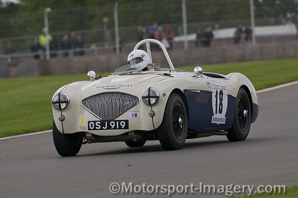 Robert Rawe, Austin Healey 100M,