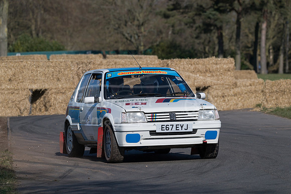 Peugeot 205 GTI Gp N Martin Cayzer