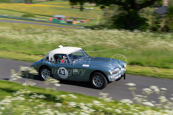 43  Huw Edwards