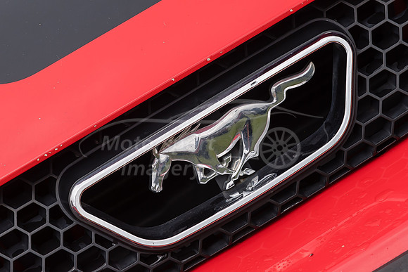 Mustang