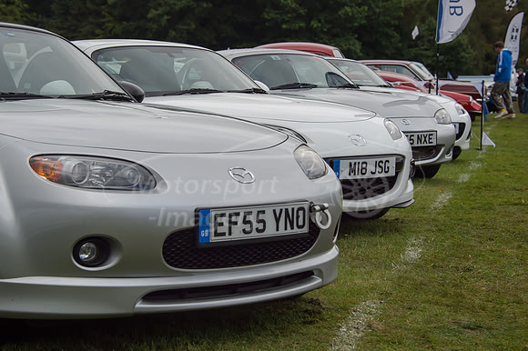 D4S_9186.jpg