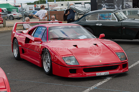 DGG_6407.jpg