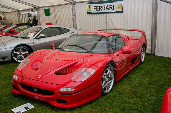 D4S_9267.jpg