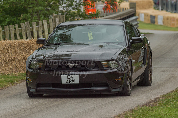 D4S_8251