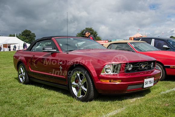 DGG_0378.jpg