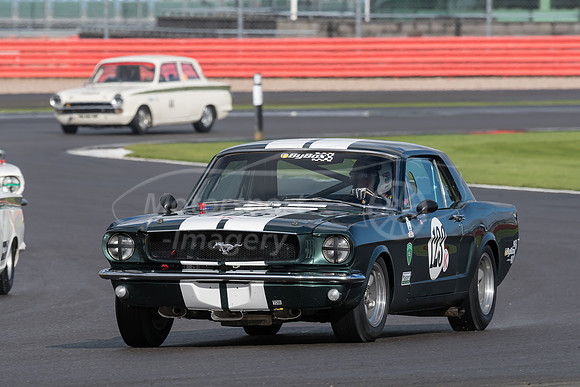 D50_1336.jpg