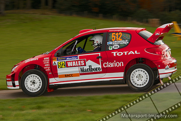 Peugeot 206 WRC
