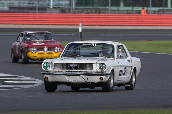 D50_1315.jpg