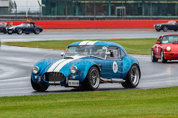 DD-109-WB AC Cobra