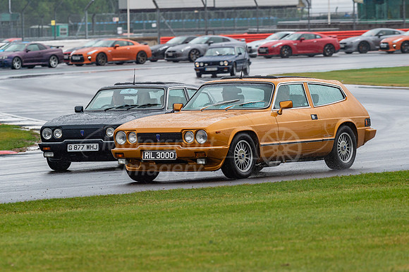 RIL3000 Reliant Scimitar