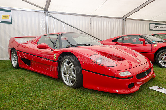 D4S_9271.jpg