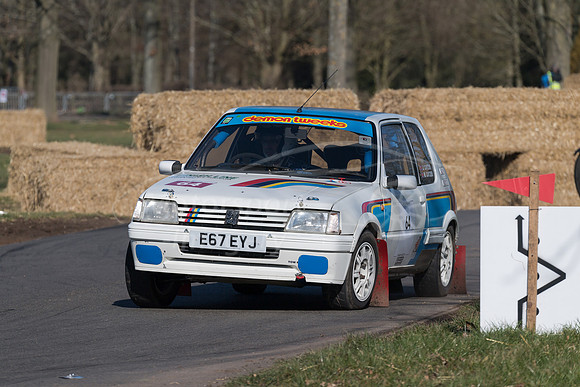 Peugeot 205 GTI Gp N Martin Cayzer