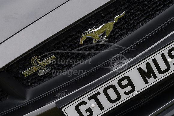 Shelby GT500 Super Snake