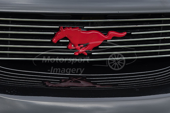 Mustang