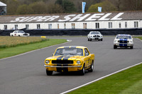 Andy Priaulx/ Alex Taylor