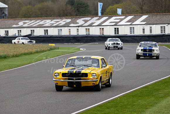 Andy Priaulx/ Alex Taylor