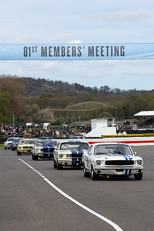 Multiple Mustangs led by the car of Jamie Chadwick and Andrew Yool