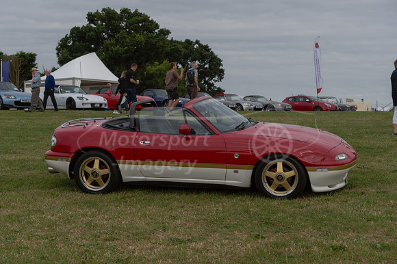D4S_7391.jpg