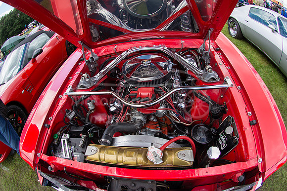 D72_1622.jpg
