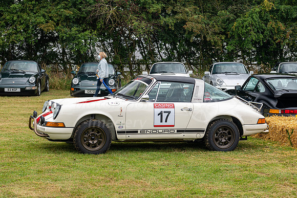 Porsche 911 Targa Enduro