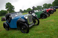BRM46